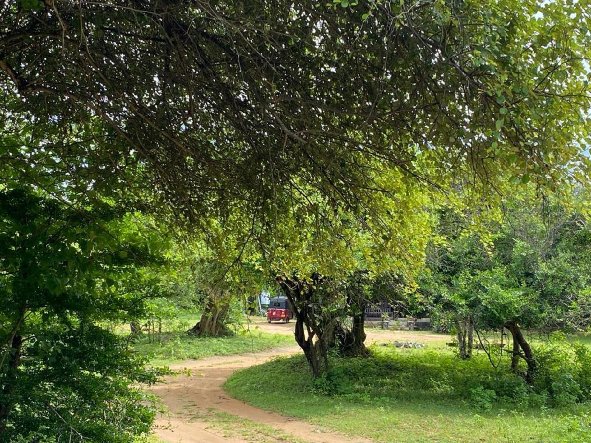 Yala Ying Yang Hostel & Camping Εξωτερικό φωτογραφία
