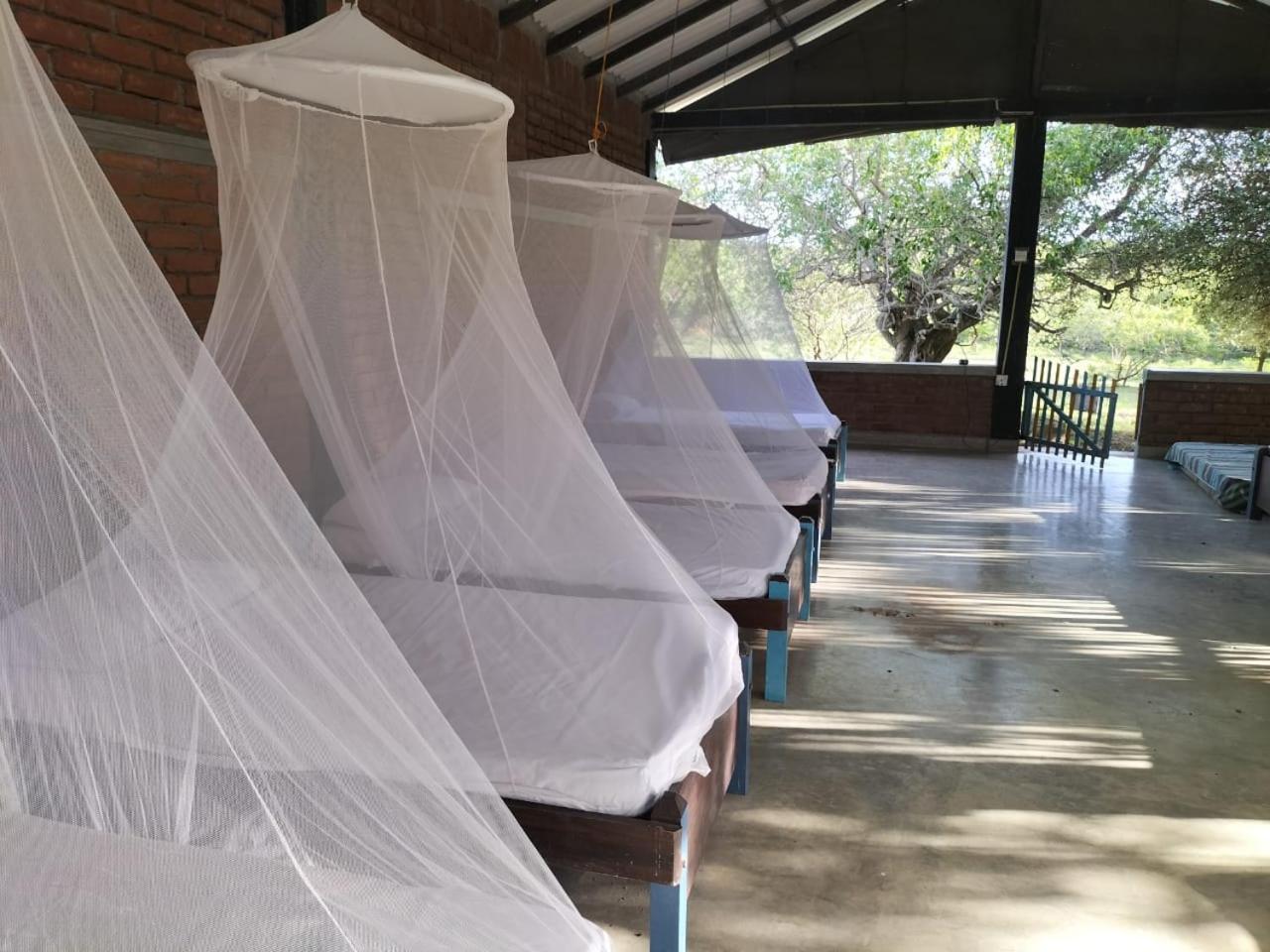 Yala Ying Yang Hostel & Camping Εξωτερικό φωτογραφία