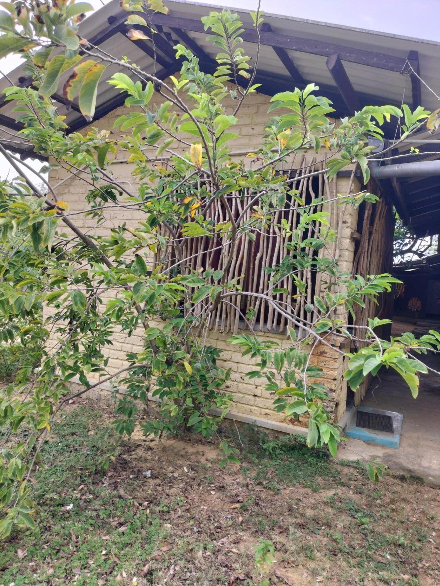 Yala Ying Yang Hostel & Camping Εξωτερικό φωτογραφία